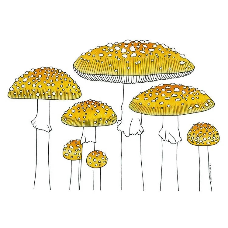 Mushrooms - Greeting Card by 3 Legged Dog Ink