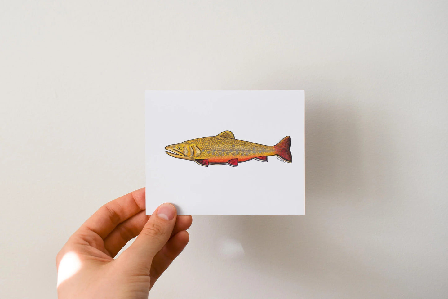 Maine Camp - Boxed Set of 8 Greeting Cards by 3 Legged Dog Ink