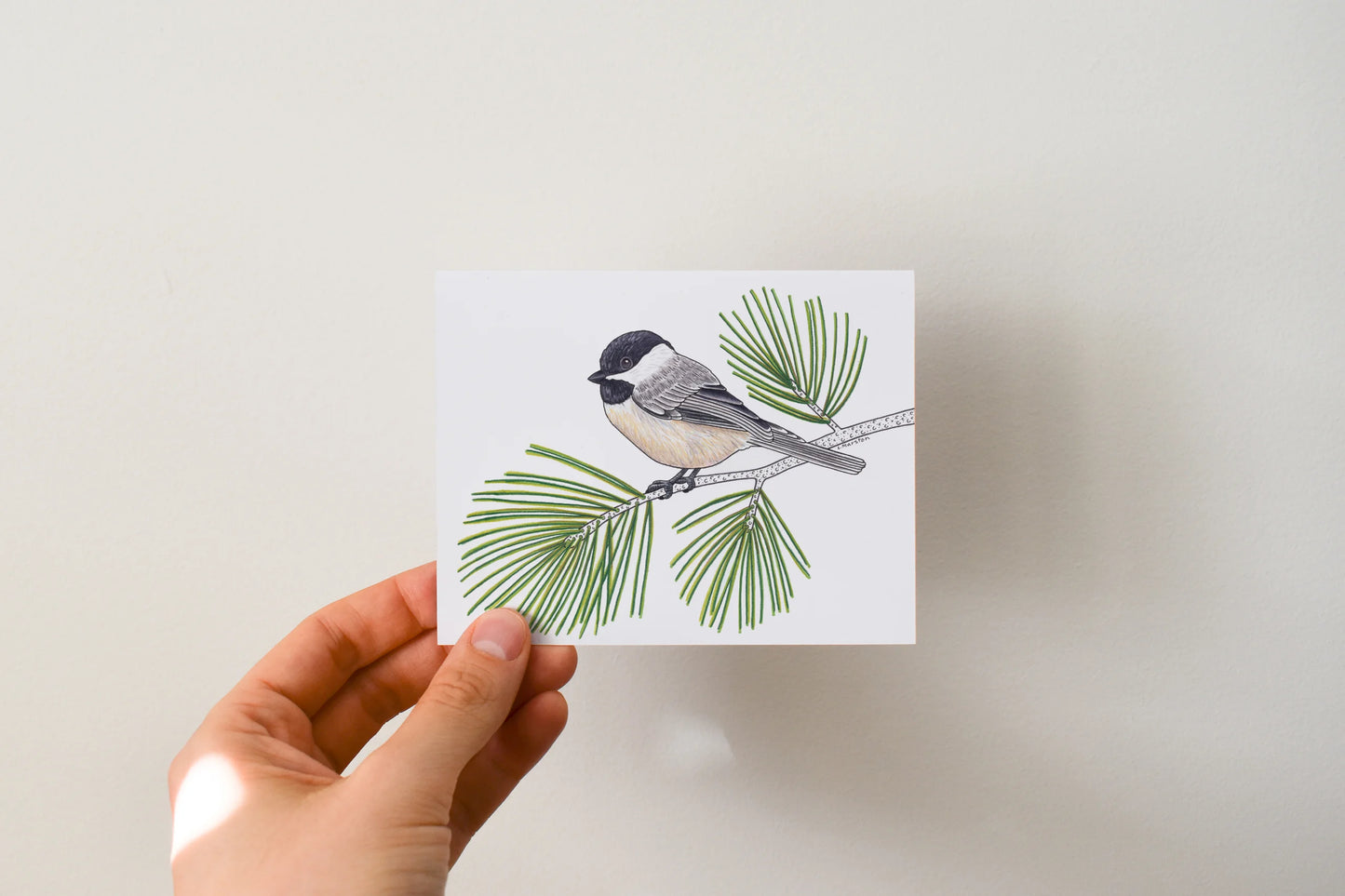 Maine Camp - Boxed Set of 8 Greeting Cards by 3 Legged Dog Ink