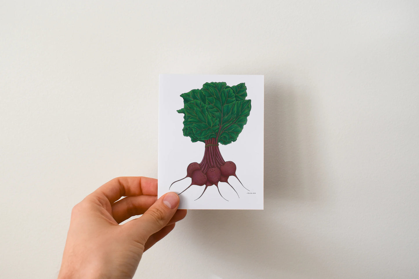 Veggie - Boxed Set of 8 Greeting Cards by 3 Legged Dog Ink