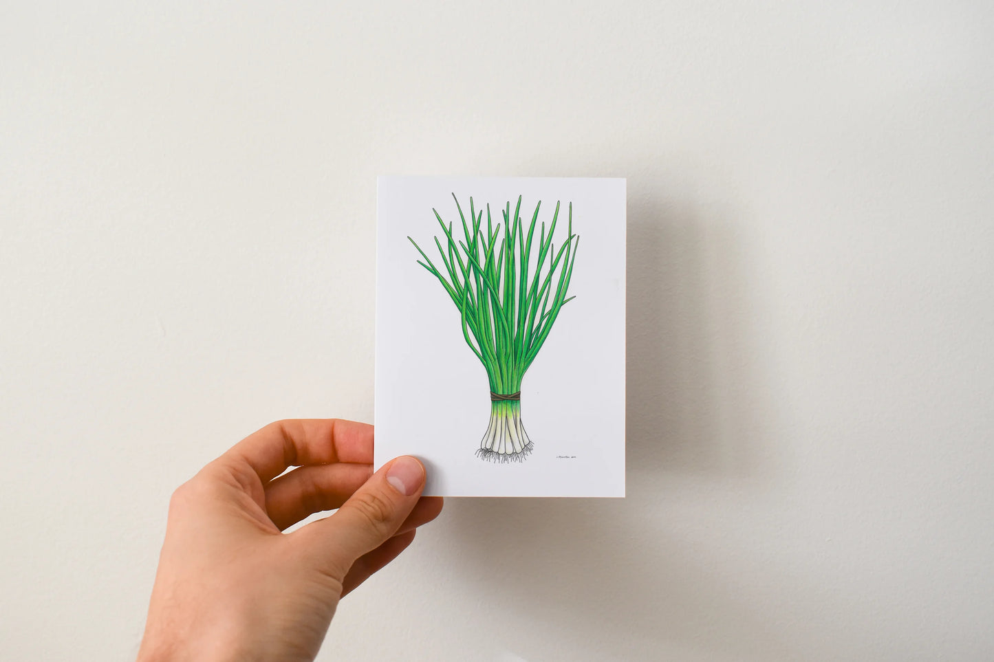 Veggie - Boxed Set of 8 Greeting Cards by 3 Legged Dog Ink