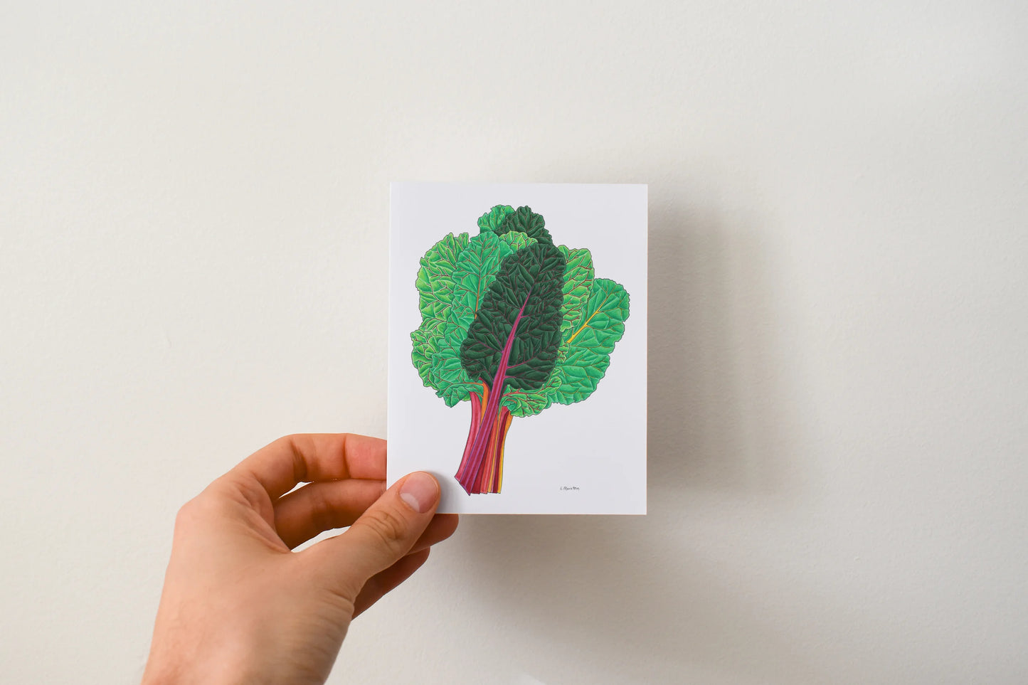 Veggie - Boxed Set of 8 Greeting Cards by 3 Legged Dog Ink