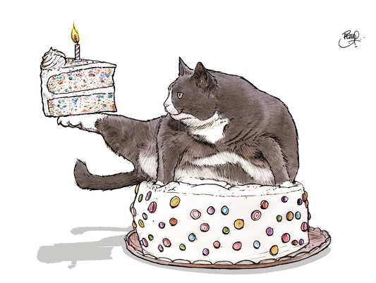 The Slice is Right Greeting Card (blank inside) by Shawn Braley Illustration