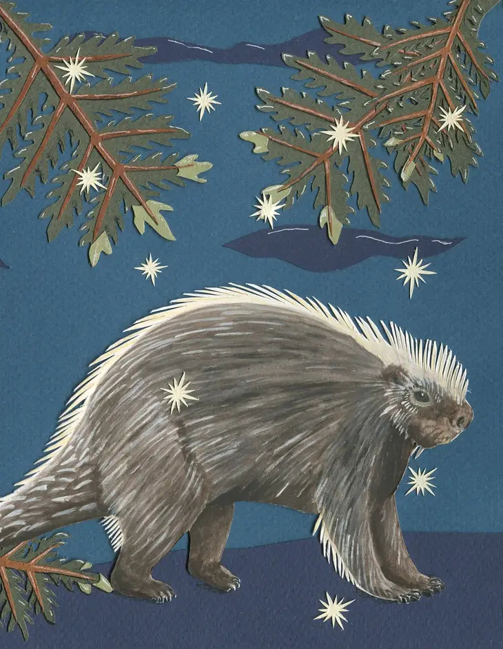 Forest Animals Greeting Card Box Set (Blank Inside) by Johanna Finnegan-Topitzer