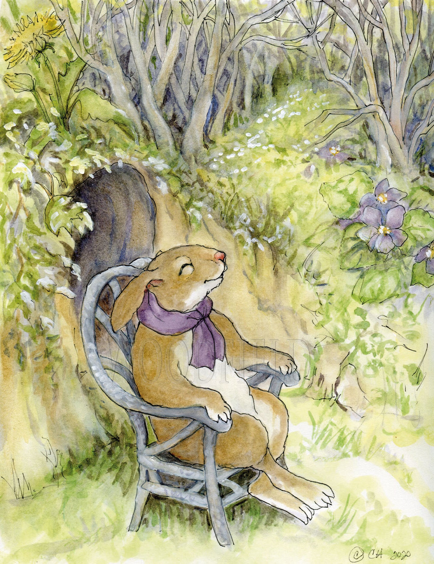 Sunbathing - Greeting Card by Woodfield Press
