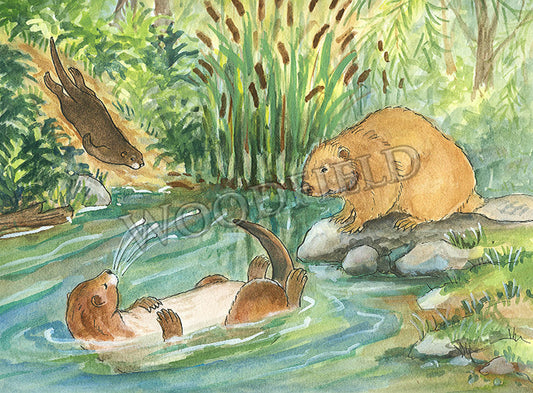 Swimming Hole - Greeting Card by Woodfield Press - Maine Yarn & Fiber Supply