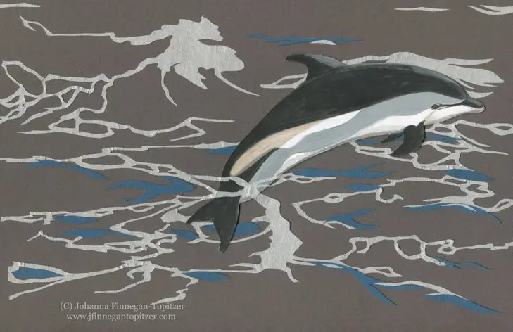 Atlantic Dolphin Greeting Card (Blank Inside) by Johanna Finnegan-Topitzer