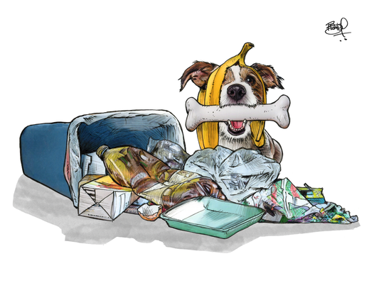 Buried Treasure Greeting Card (blank inside) by Shawn Braley Illustration