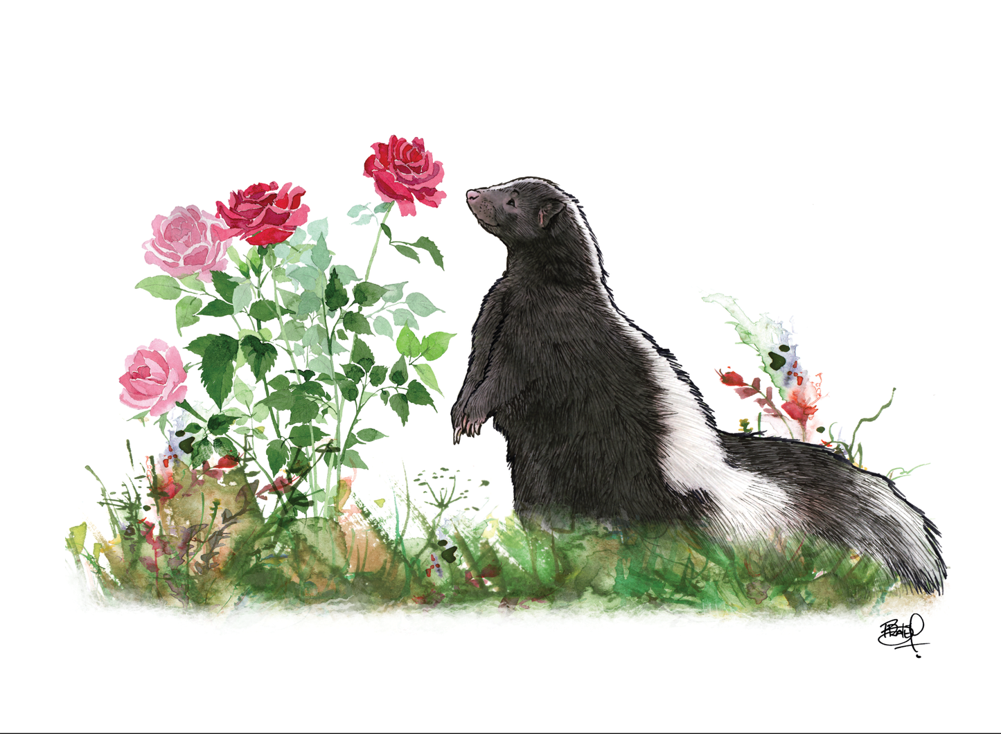 Two Scents Greeting Card (blank inside) by Shawn Braley Illustration