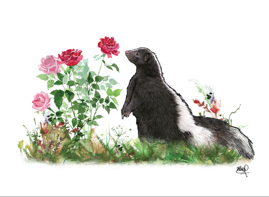 Two Scents Greeting Card (blank inside) by Shawn Braley Illustration