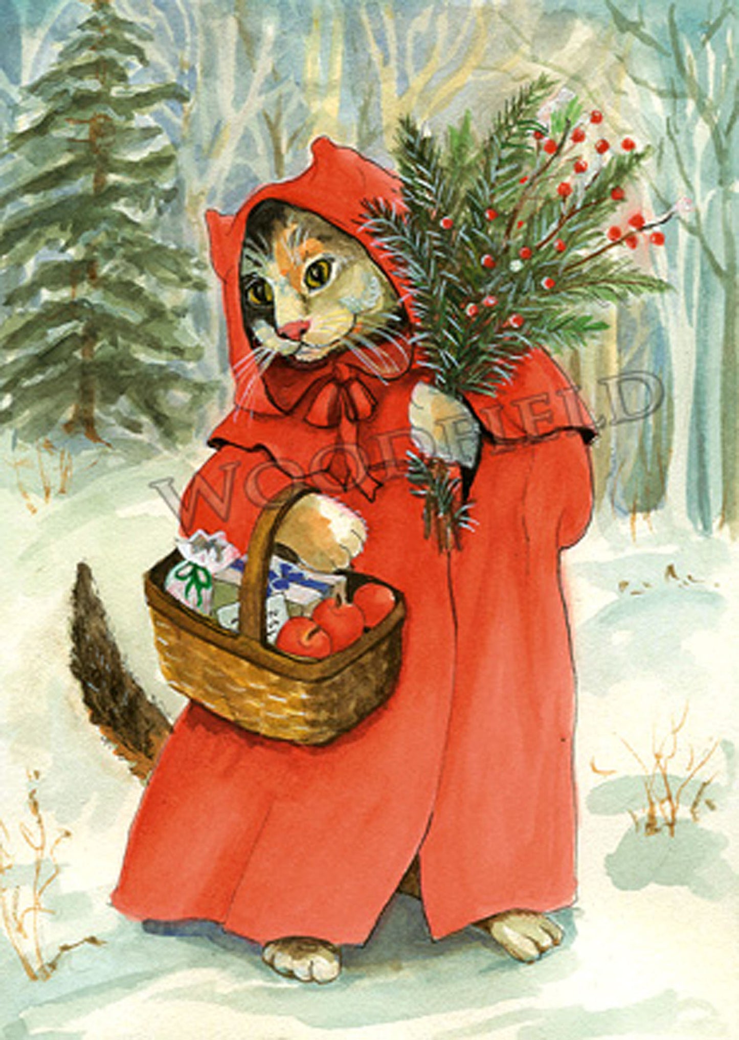 Red Cloak - Boxed Set of 12 Greeting Cards by Woodfield Press