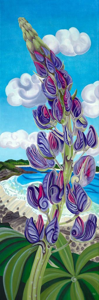 Lupine - Greeting Card by Color Afoot Press