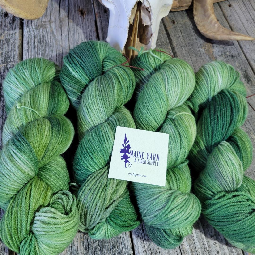 Schoodic: Old Growth