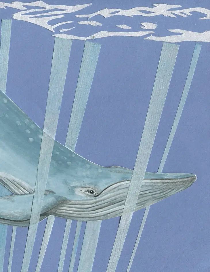 Ocean Mammals Greeting Card Box Set (Blank Inside) by Johanna Finnegan-Topitzer