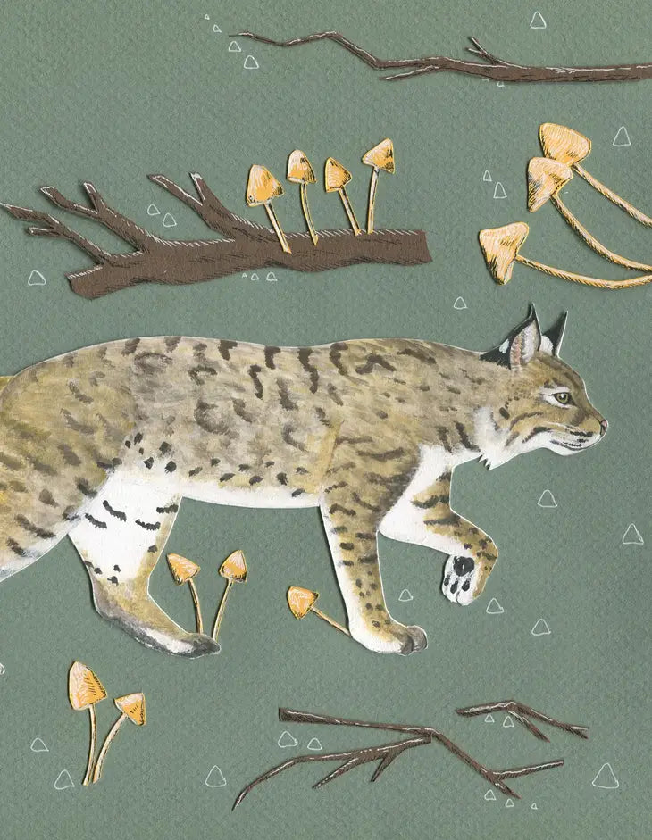 Bobcat Greeting Card (Blank Inside) by Johanna Finnegan-Topitzer