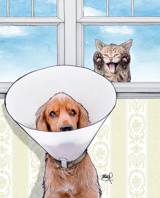 Heckler Greeting Card (blank inside) by Shawn Braley Illustration