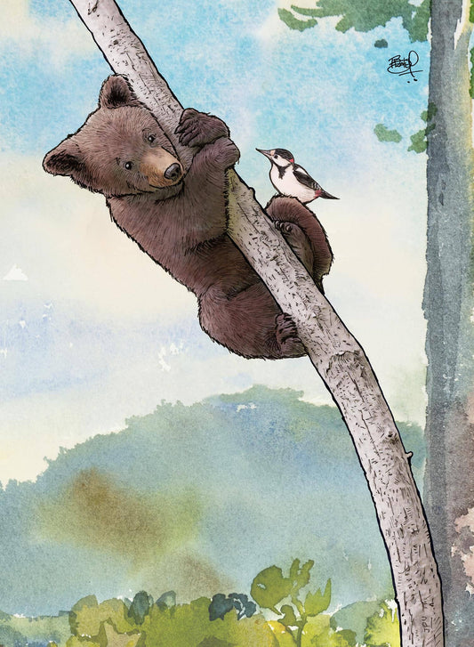 Hang in There Greeting Card (blank inside) by Shawn Braley Illustration