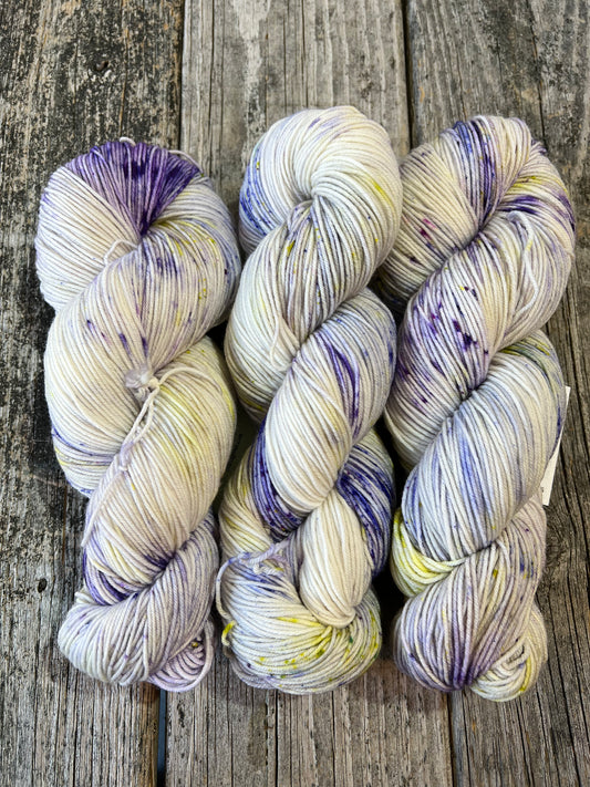 Saco: First Iris