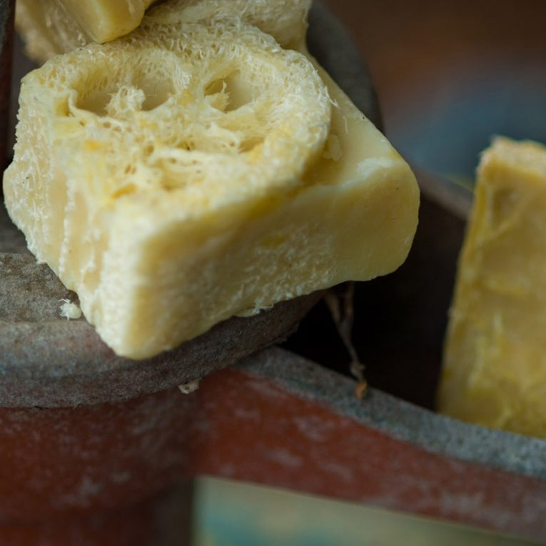 Peppermint Loofah Soap by Dr Dandelion