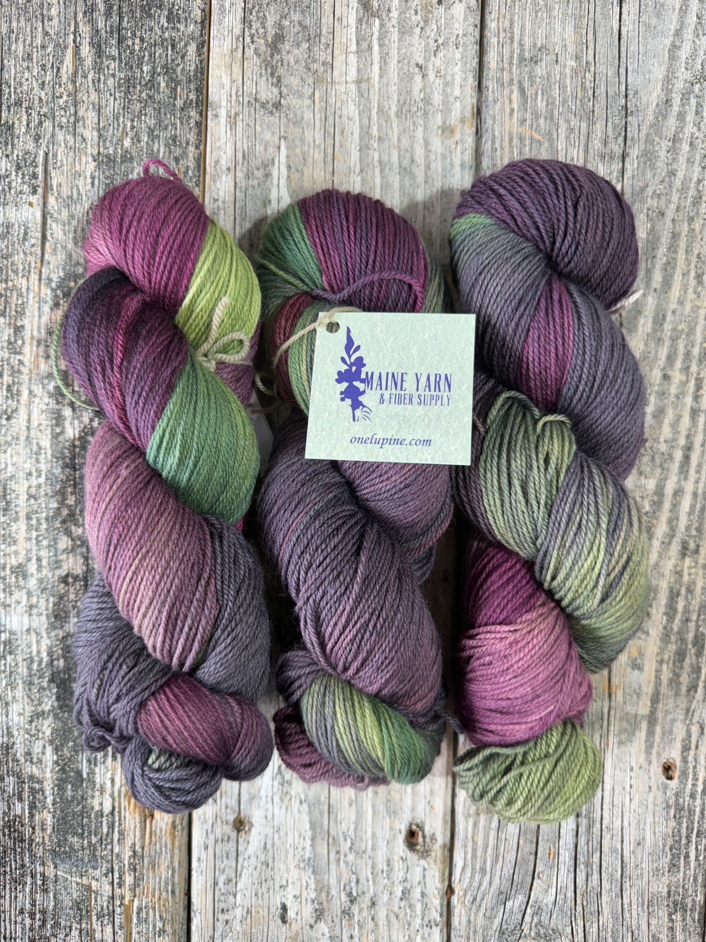 Schoodic: Setsuna