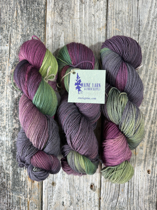 Schoodic: Setsuna
