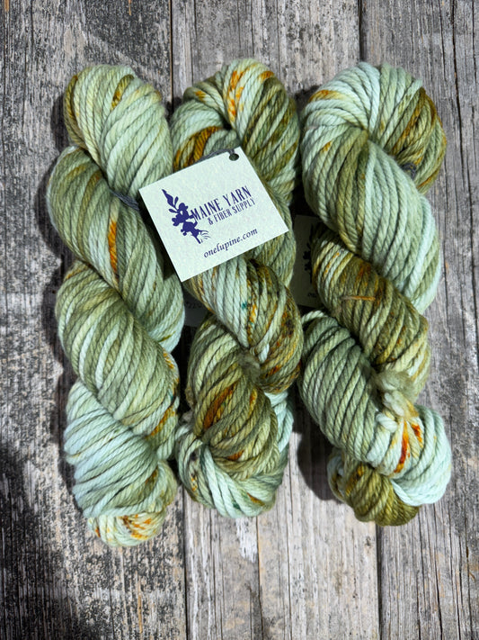 Allagash: Dappled