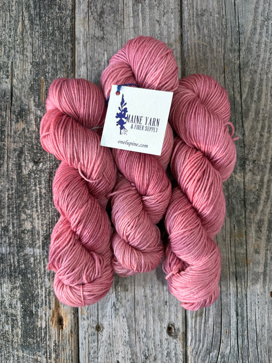Solon DK: Vintage Rose