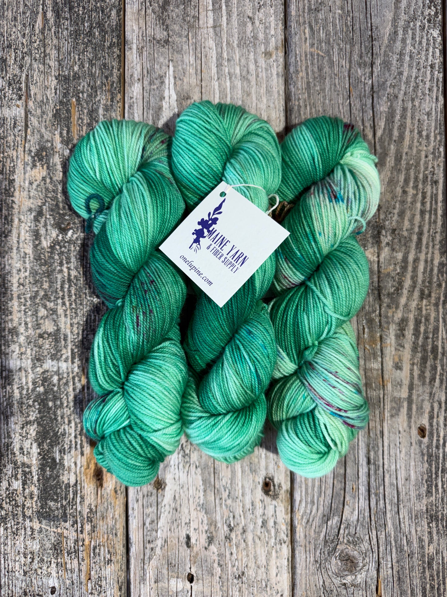 Katahdin: Joni - Maine Yarn & Fiber Supply