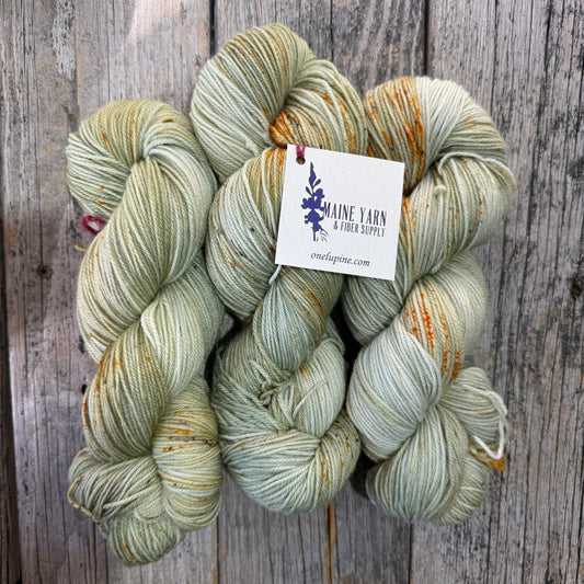 Schoodic: Dappled - Maine Yarn & Fiber Supply