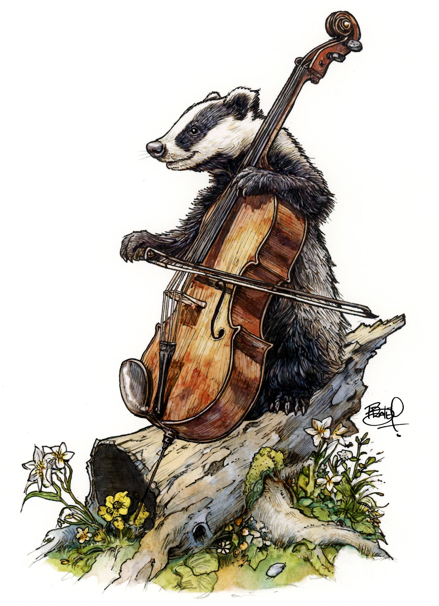 Cello Fellow Greeting Card (blank inside) by Shawn Braley Illustration