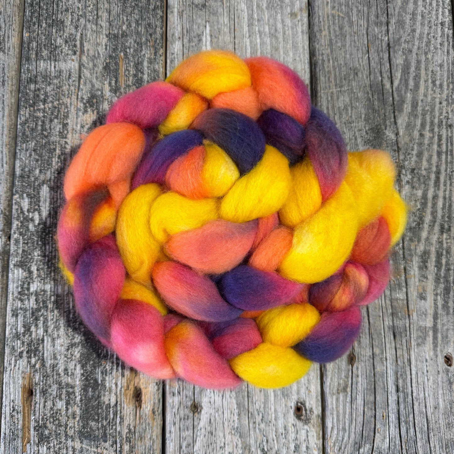 Hand Dyed BFL Top Fiber Braid 5.2oz “Zinnia”