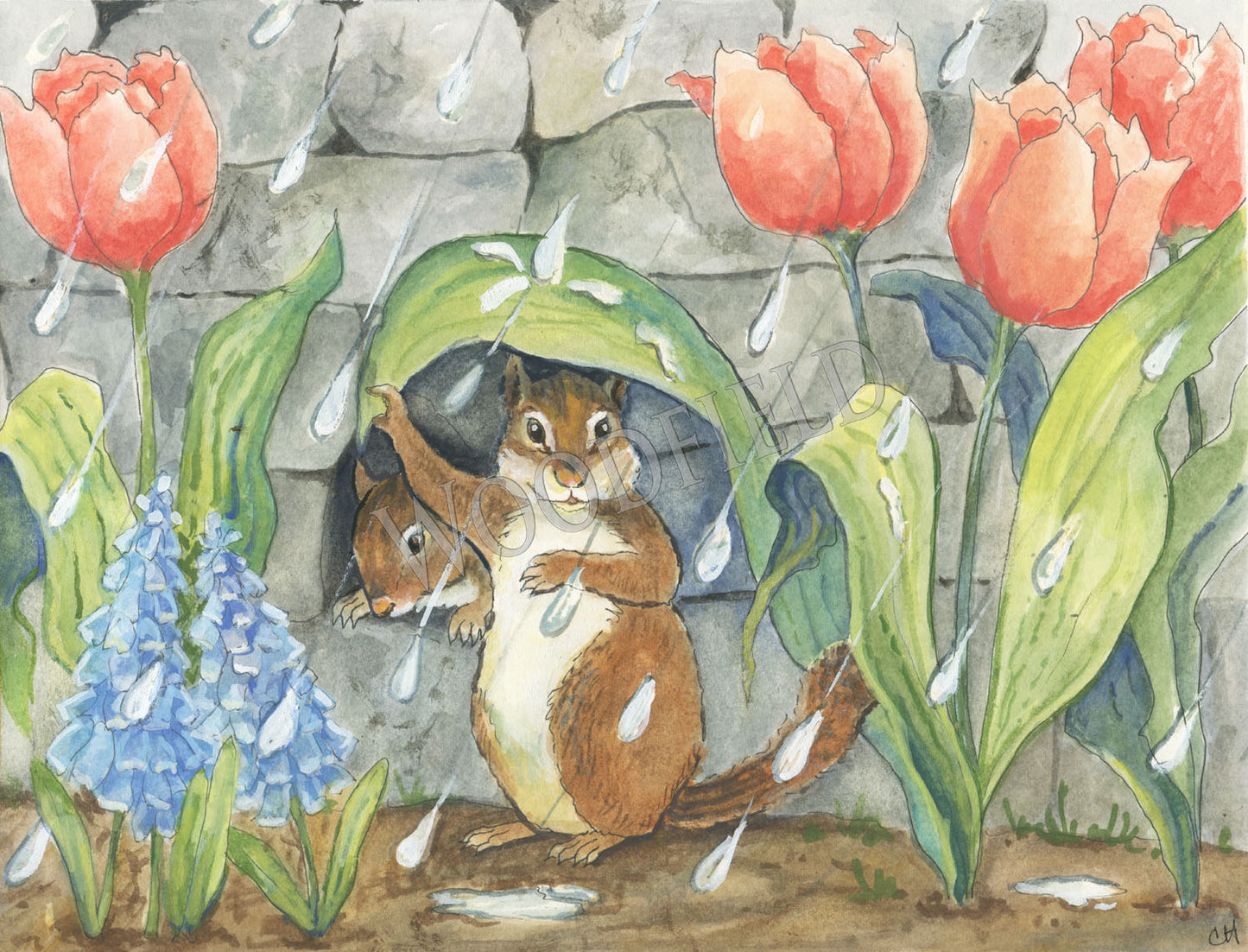 Spring Shower - Greeting Card by Woodfield Press