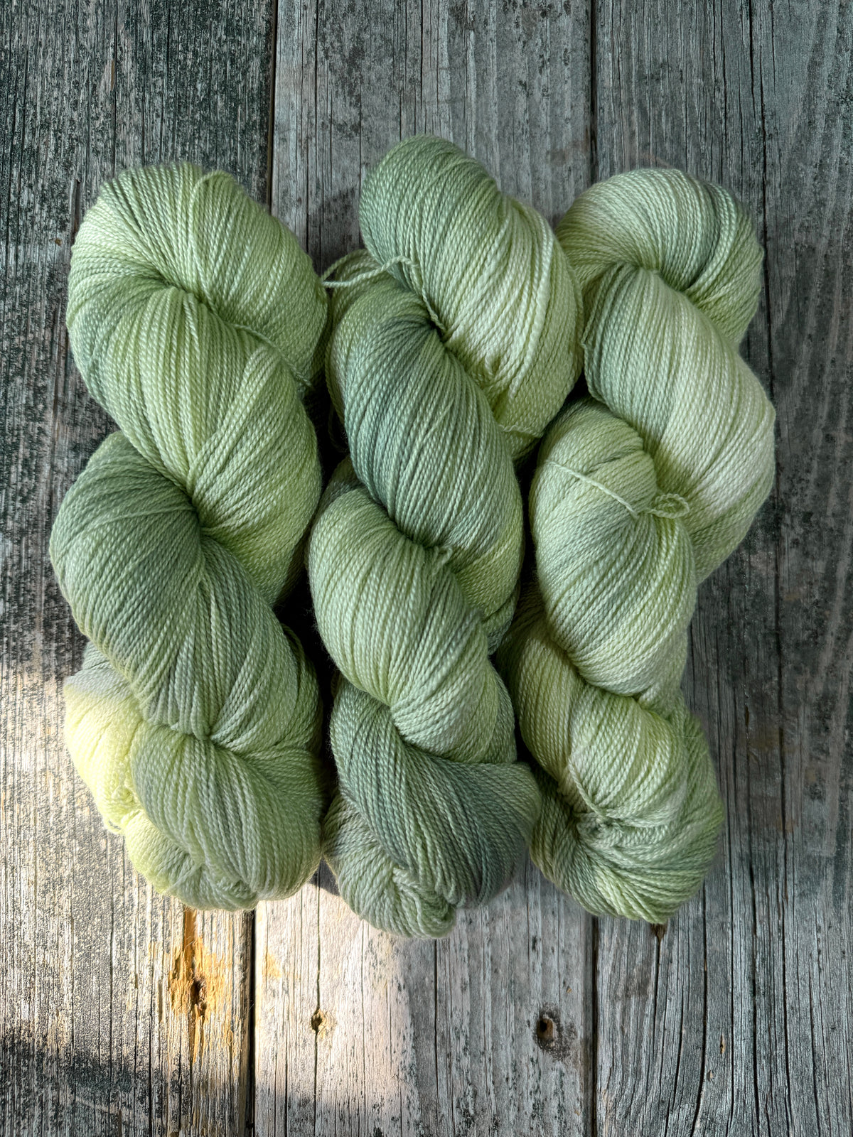 Castine: Lichen