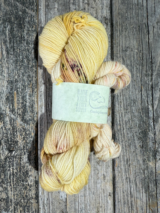 Schoodic: Golden Chai + Spring Confetti - Riff Shawl Kit