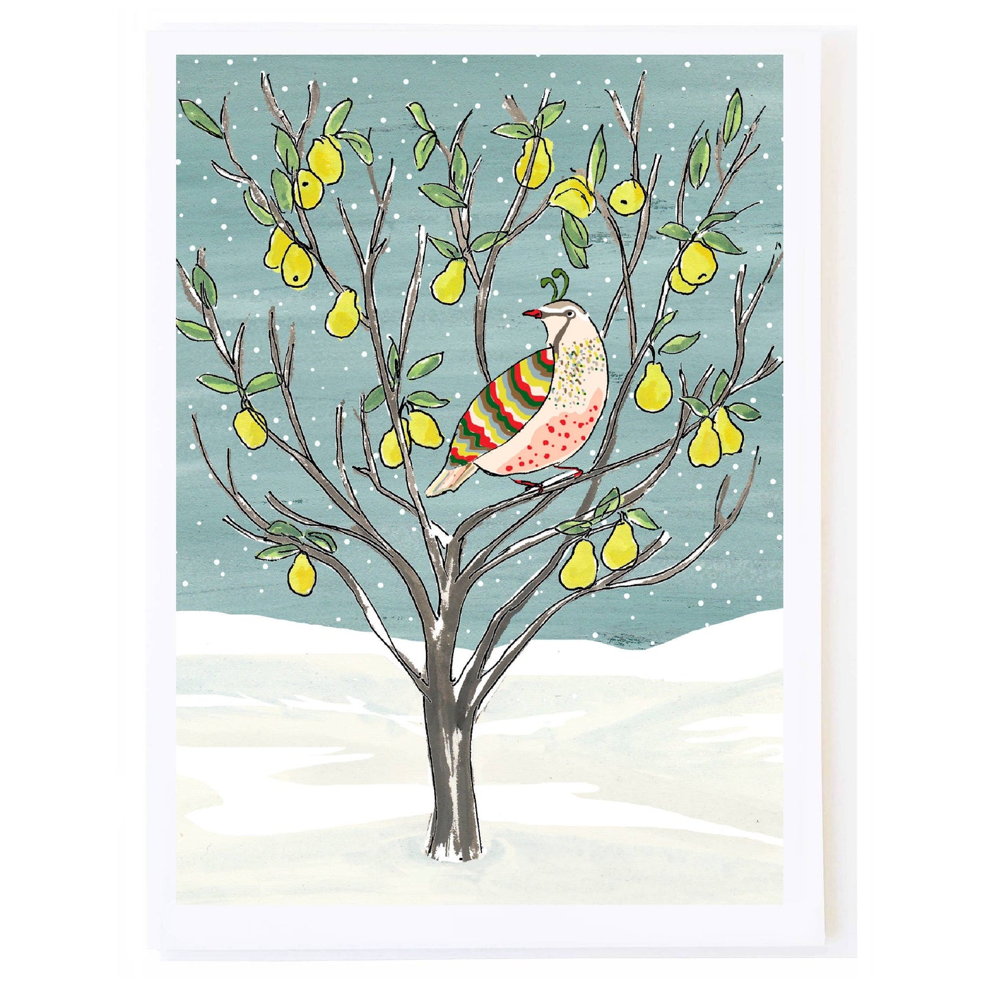 Partridge in a Pear Tree - Box Card Set by Molly O