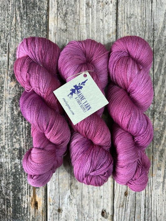 Castine: Belle Epoch