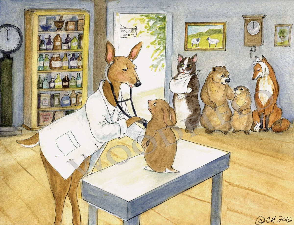 Doctor's Office - Greeting Card by Woodfield Press - Maine Yarn & Fiber Supply