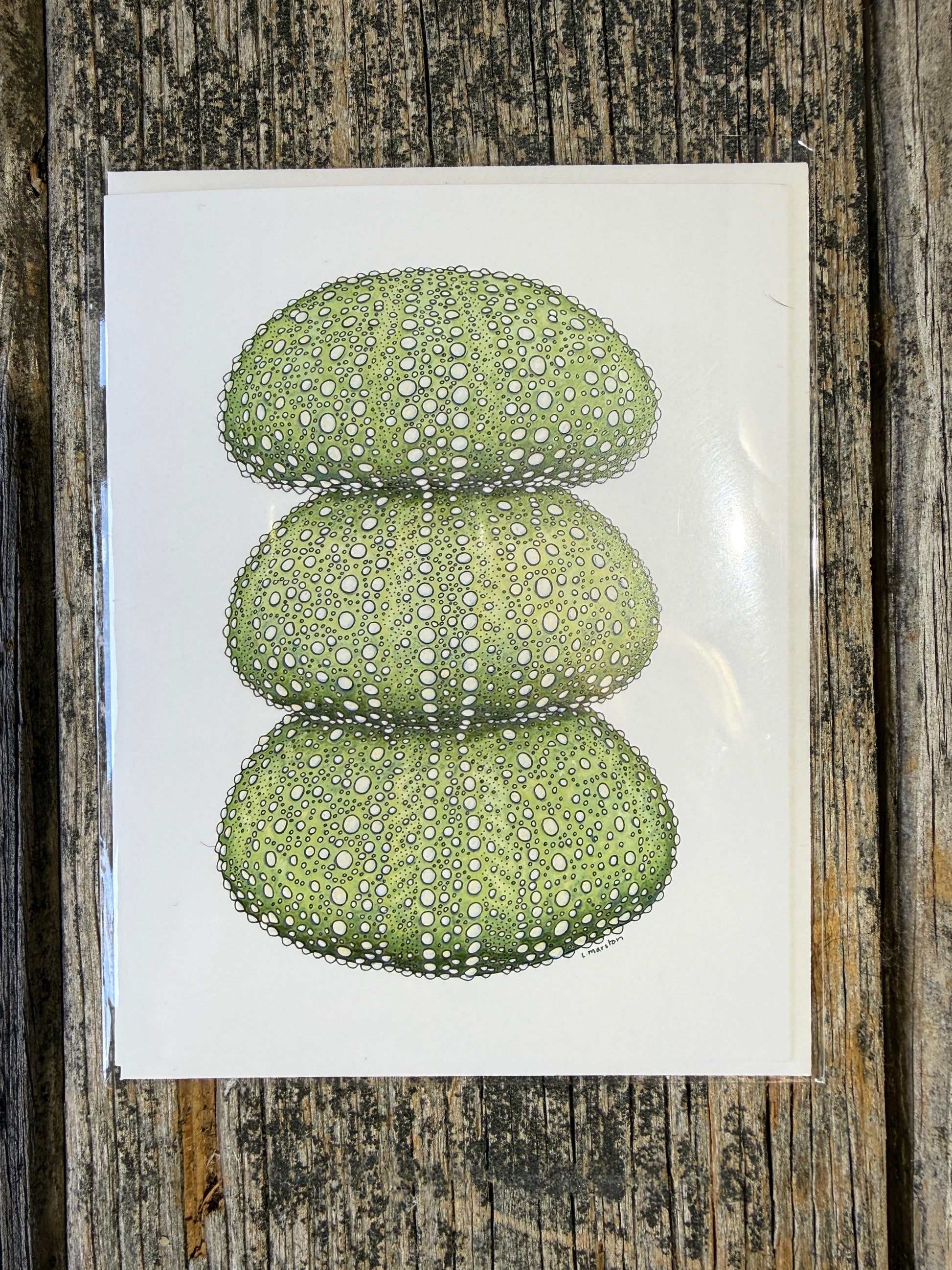 Urchin Stack - Greeting Card by 3 Legged Dog Ink - Maine Yarn & Fiber Supply
