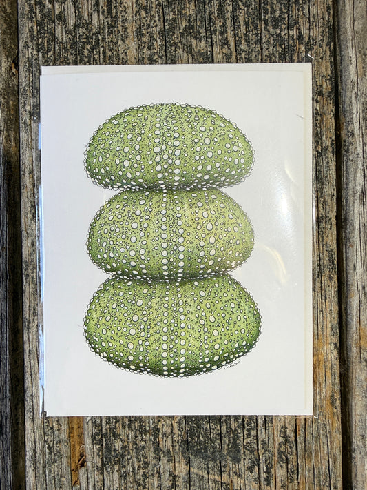 Urchin Stack - Greeting Card by 3 Legged Dog Ink - Maine Yarn & Fiber Supply