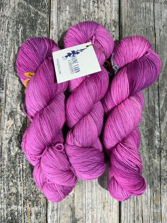 Eastport: Rosa Rugosa