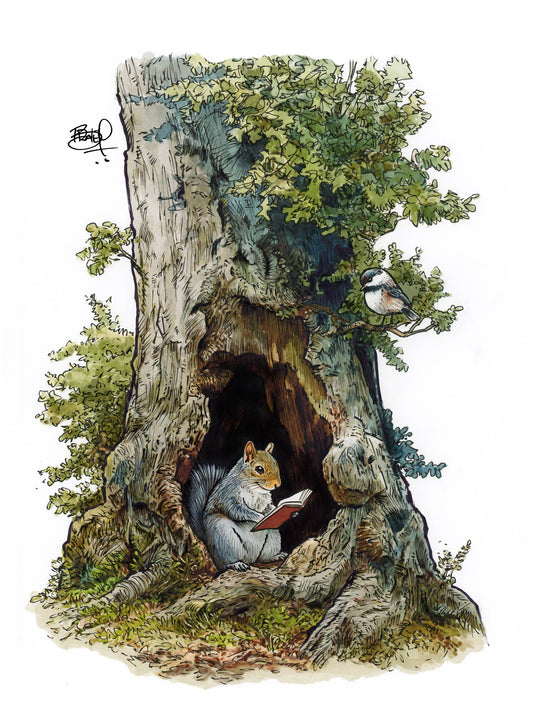 Book Nook Greeting Card (blank inside) by Shawn Braley Illustration