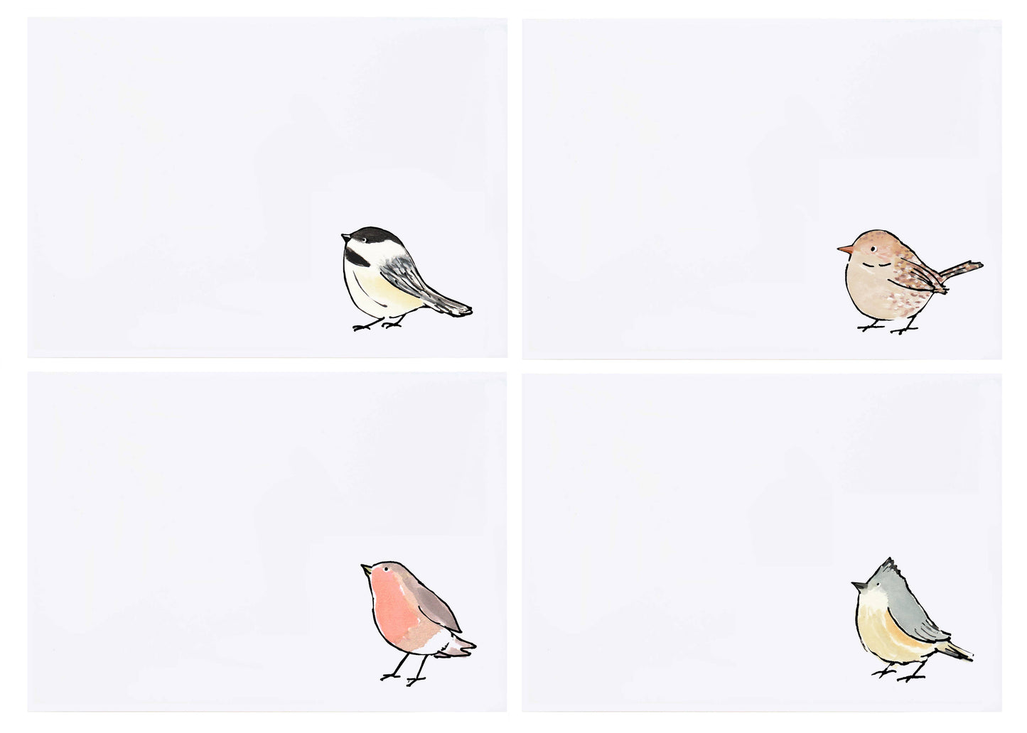 Birds Stationery by Molly O