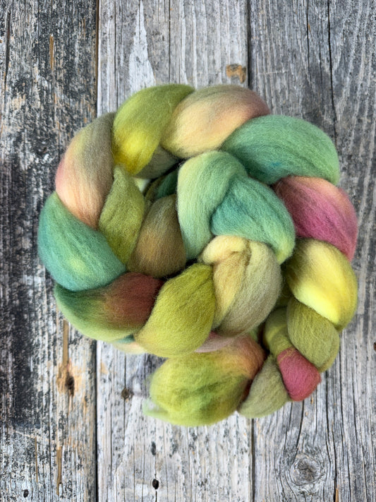 Hand Dyed by Bristol Ivy Targhee Top Braid ~4oz