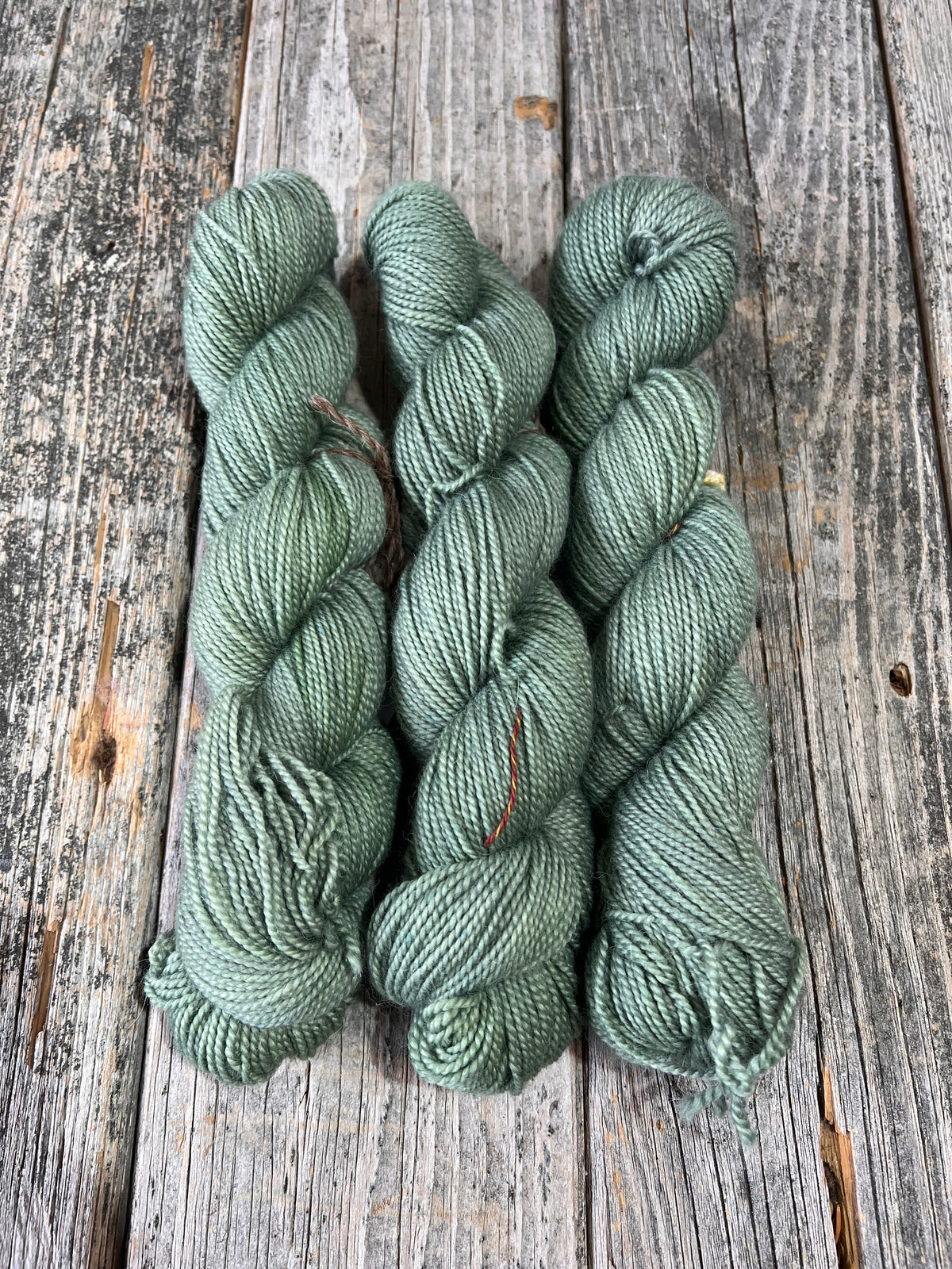 Rockport: Old Growth
