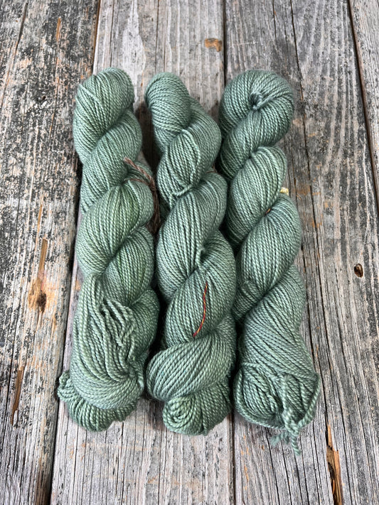 Rockport: Old Growth