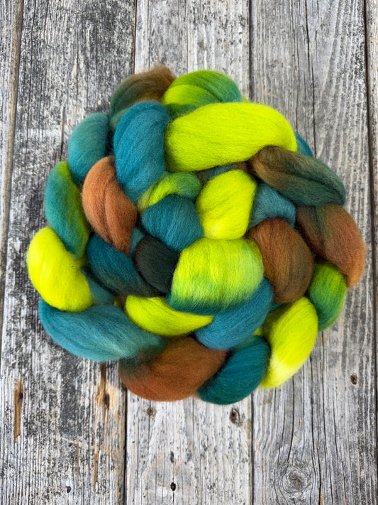 Hand Dyed Corriedale Top Fiber Braid 8oz  “Fiona”