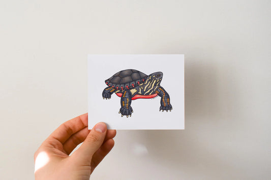 Turtle - Greeting Card by 3 Legged Dog Ink - Maine Yarn & Fiber Supply
