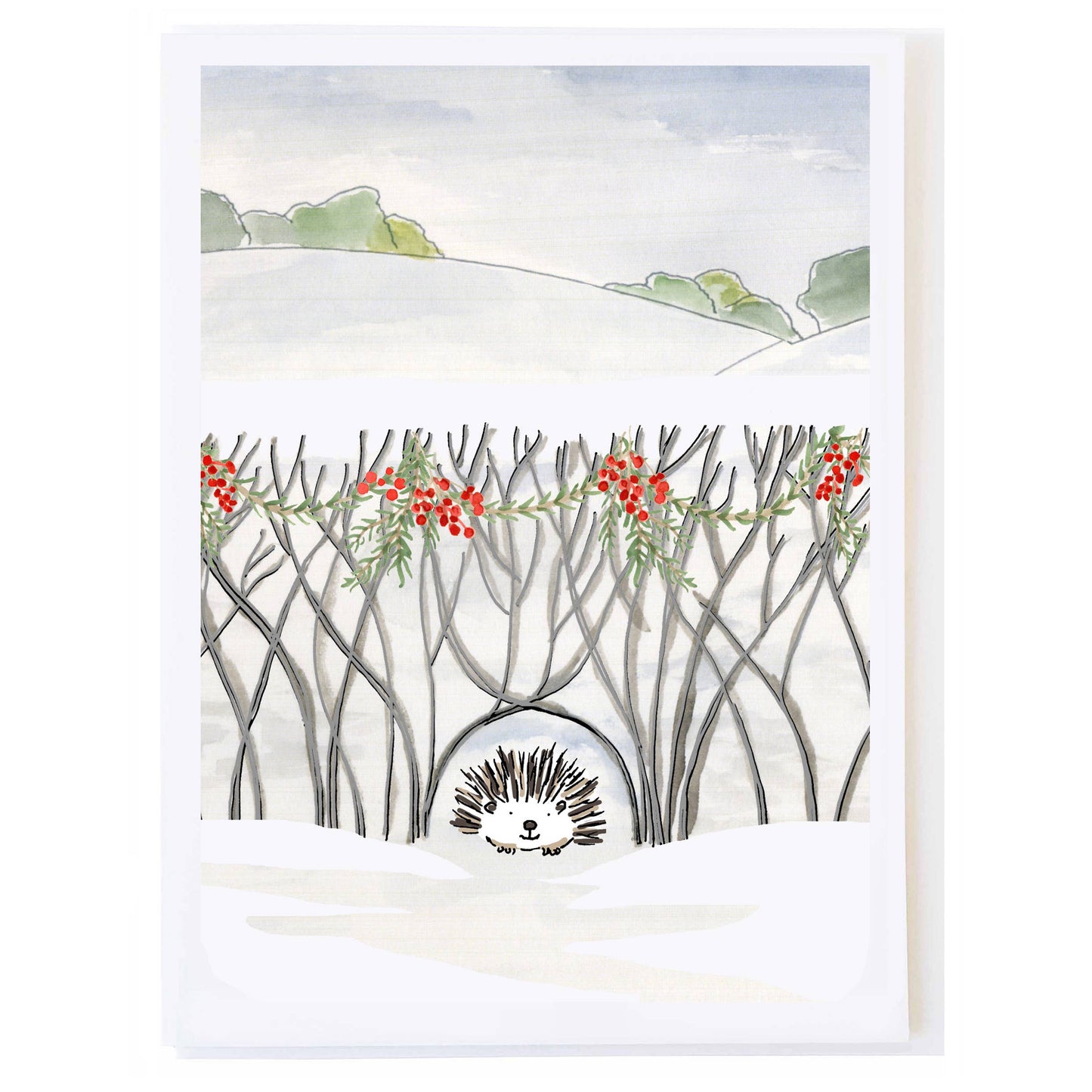 Hedgehog - Single Holiday Greeting Card by Molly O