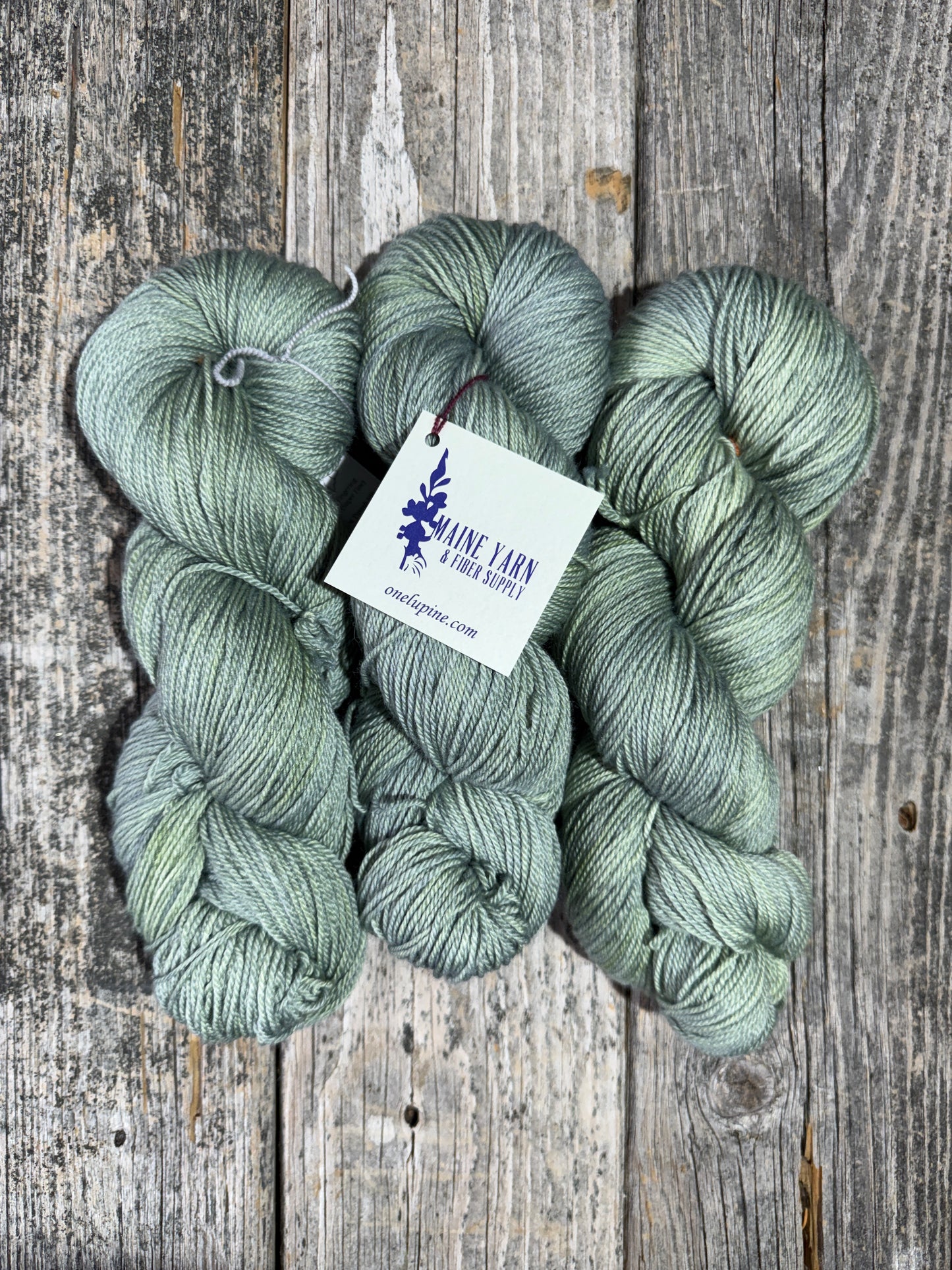Casco: Lichen