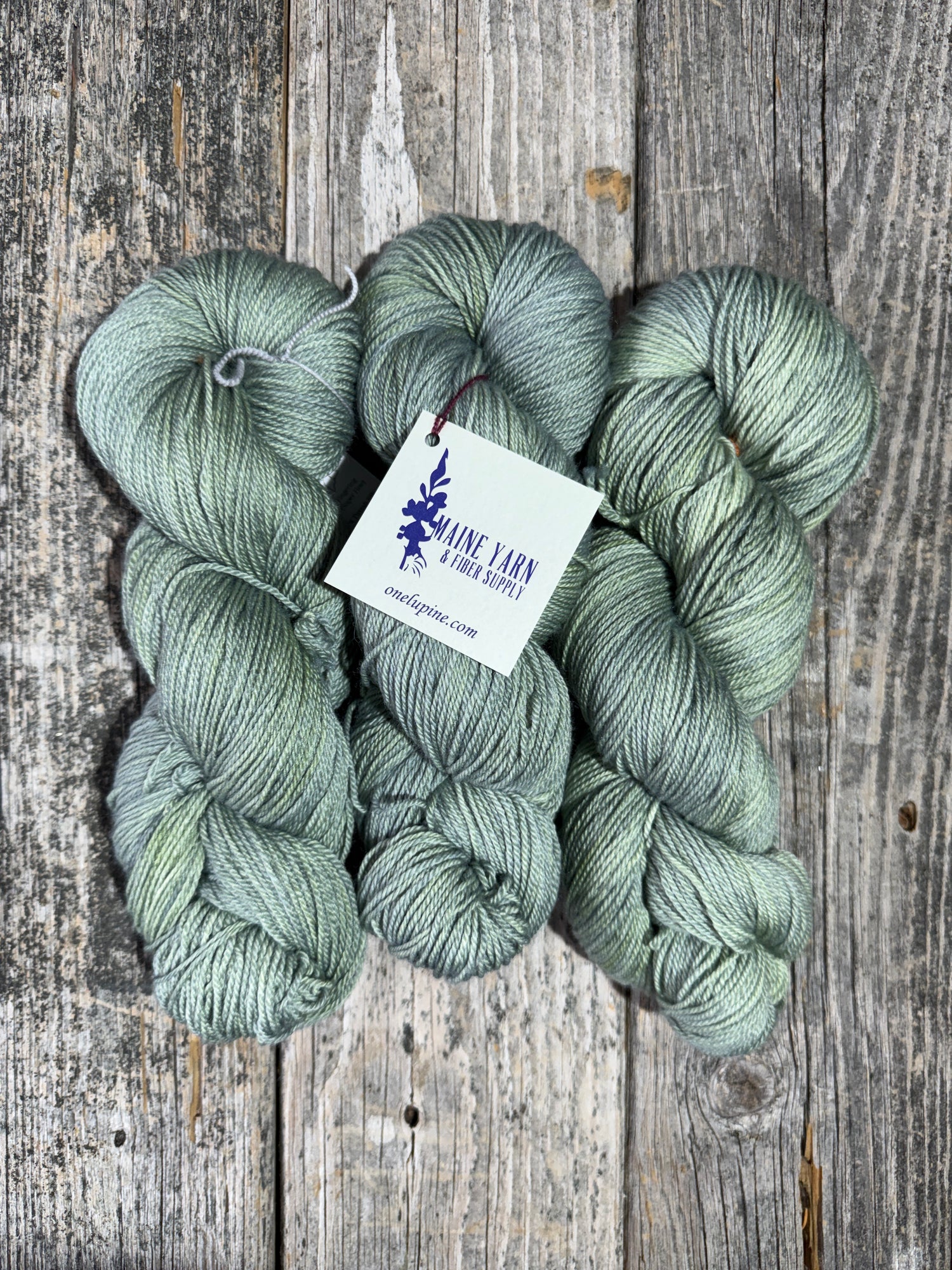 Casco: Lichen - Maine Yarn & Fiber Supply
